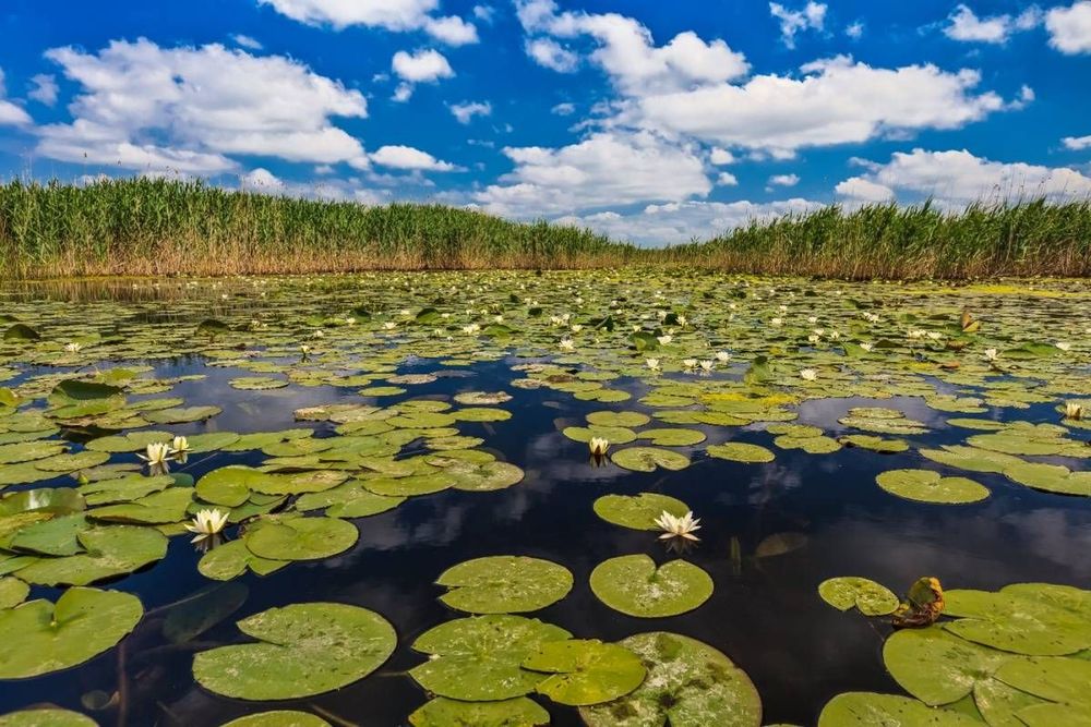 Danube Delta | Romania destination image 17