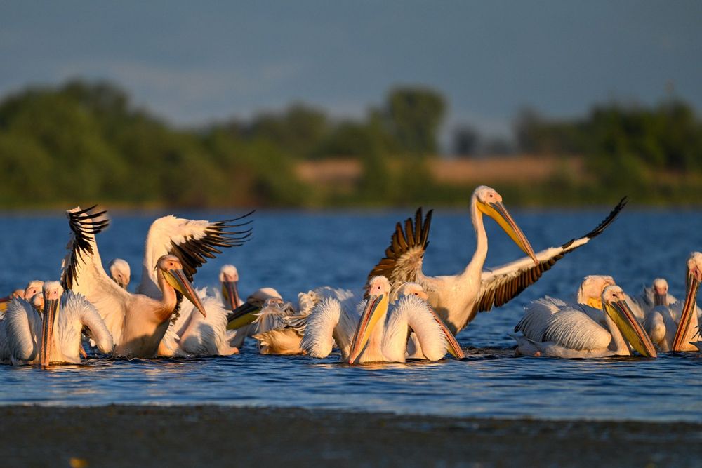 Danube Delta | Romania destination image 6