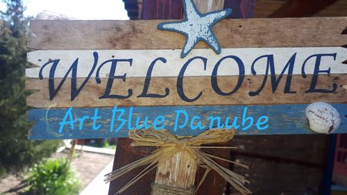 Art Blue Danube - Sfântu Gheorghe view