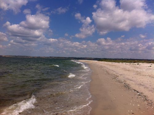 Coastal area of ​​the Voloska Kosa (Spit) estuary view