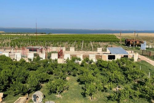 "Olbia NUVO" Winery view