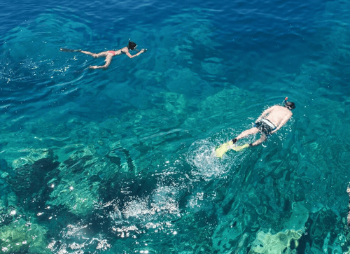 Marine Life Activities view