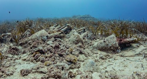 Tselios Hellenistic Shipwreck view