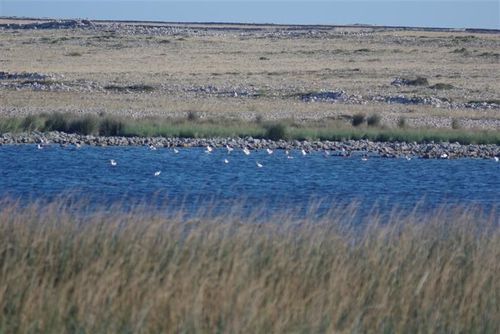 Velo Blato Ornithological Reserve view