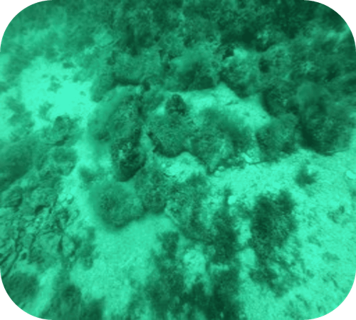 Agios Petros Byzantine Shipwreck view